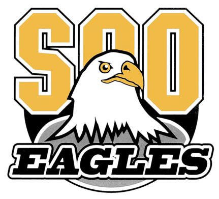 Soo Eagles 2015-Pres Primary Logo iron on transfers for clothing